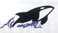 Orca photo.jpg